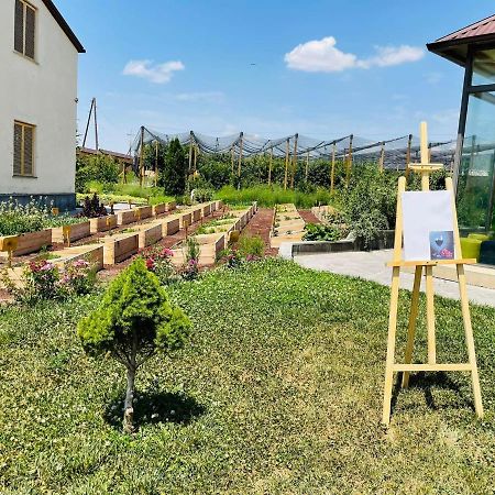 Green Training Center Dzoraghpʼyur Dış mekan fotoğraf